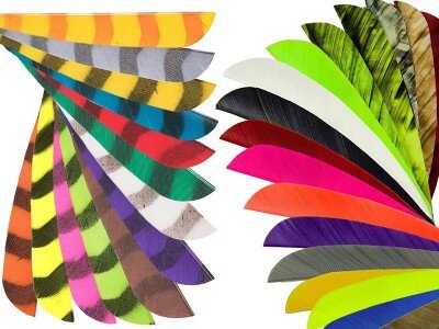 Natural Feathers