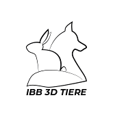 IBB 3D