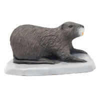 SRT Nutria Beaver Rat