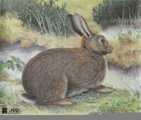 Rabbit 40x33cm - Nylon Reinforced - Animal Target Face