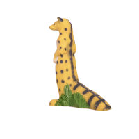 IBB 3D Genet - standing