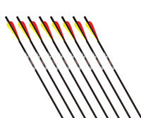GOLD TIP Swift / Laser II - Carbon bolt - 16 inches