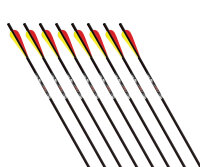 GOLD TIP Swift / Laser II - Carbon bolt - 20 inches - Our recommendation!