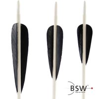 Feathers: 5 Inch Parabol