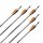 Complete Arrow | EASTON XX75 Platinum Plus - Aluminium | Spine 1516