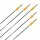 Complete Arrow | EASTON X10 - Aluminium-Carbon | Spine: 550