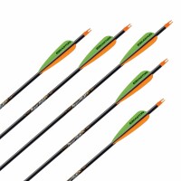 Complete Arrow | EASTON Powerflight - Carbon | Spine: 500
