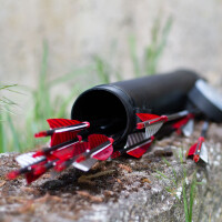 Complete Arrow | EASTON Powerflight - Carbon | Spine: 500