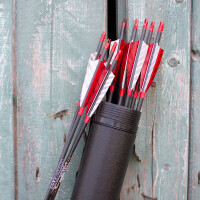 Complete Arrow | EASTON Powerflight - Carbon | Spine: 500