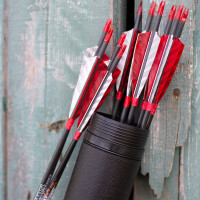 Complete Arrow | EASTON Powerflight - Carbon | Spine: 500