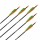 Complete Arrow | EASTON Powerflight - Carbon | Spine: 500