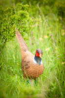 CENTER-POINT 3D Pheasant - Made in Germany