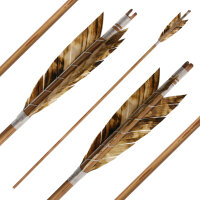 Complete Arrow | BSW Elements - Earth (Brown) - Type of...