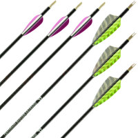 Complete Arrow | BEARPAW Penthalon Hunter Extreme - Carbon | Spine: 500