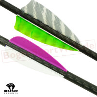 Complete Arrow | BEARPAW Penthalon Hunter Extreme - Carbon | Spine: 500