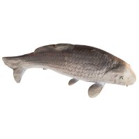 ELEVEN Target 3D Carp