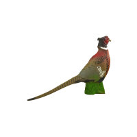 NATURFOAM Pheasant