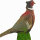 NATURFOAM Pheasant