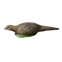 NATURFOAM Pheasant Hen - lying