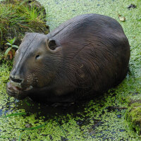 NATURFOAM Beaver - eating