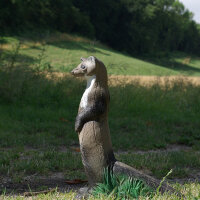 NATURFOAM Weasel - standing