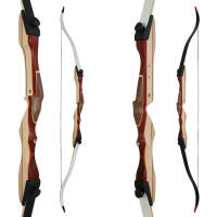 RAGIM Wildcat Plus - 62 inches - 14-40 lbs - Take Down - Recurve Bow