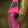 JACKALOPE - Diamond - 60 inches - One Piece Recurve Bow - 35 lbs | Right Hand | Colour: Pink / Black