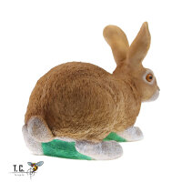 TC Targets - Rudi, the Rabbit