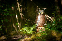 CENTER-POINT 3D Eagle Owl - Made in Germany