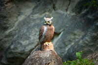 CENTER-POINT 3D Eagle Owl - Made in Germany