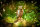 CENTER-POINT 3D Eagle Owl - Made in Germany