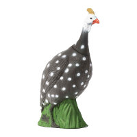 IBB 3D Guinea Fowl