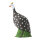 IBB 3D Guinea Fowl