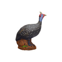 ASEN SPORTS Guineafowl