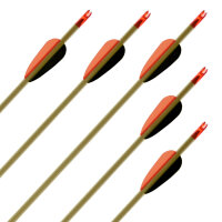 up to 20 lbs | Wooden Arrow | SIOUX - with vanes | 28...