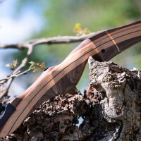 [SPECIAL] SET DRAKE Wild Honey - Take Down - 64 inches - Recurve Bow | 28 lbs | Left Hand