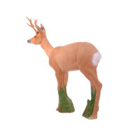 IBB 3D Roebuck