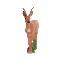 IBB 3D Roebuck