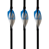 GAS PRO Rick van der Ven Signature Series - 2 Zoll - Vanes - 50er Pack