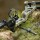[SPECIAL] DRAKE Gecko RTS - 30-55 lbs - Compound Bow | Color: Camo