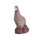 IBB 3D Rock Partridge - Cock