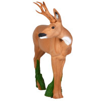 IBB 3D Roebuck - looking to the Right