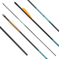 26-30 lbs | [PRICE TIP] Carbon arrow | SPHERE Hunter Pro...