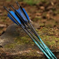 36-40 lbs | [PRICE TIP] Carbon arrow | SPHERE Hunter Pro...