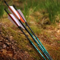 26-30 lbs | [PRICE TIP] Carbon arrow | SPHERE Hunter Pro...