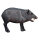 ASEN SPORTS Javelina