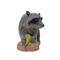 ASEN SPORTS Racoon