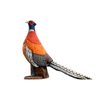 ASEN SPORTS Pheasant