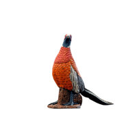 ASEN SPORTS Pheasant