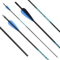 Carbon arrow | [PRICE TIP] SPHERE Hunter Pro - with Vanes - only 26-55 lbs